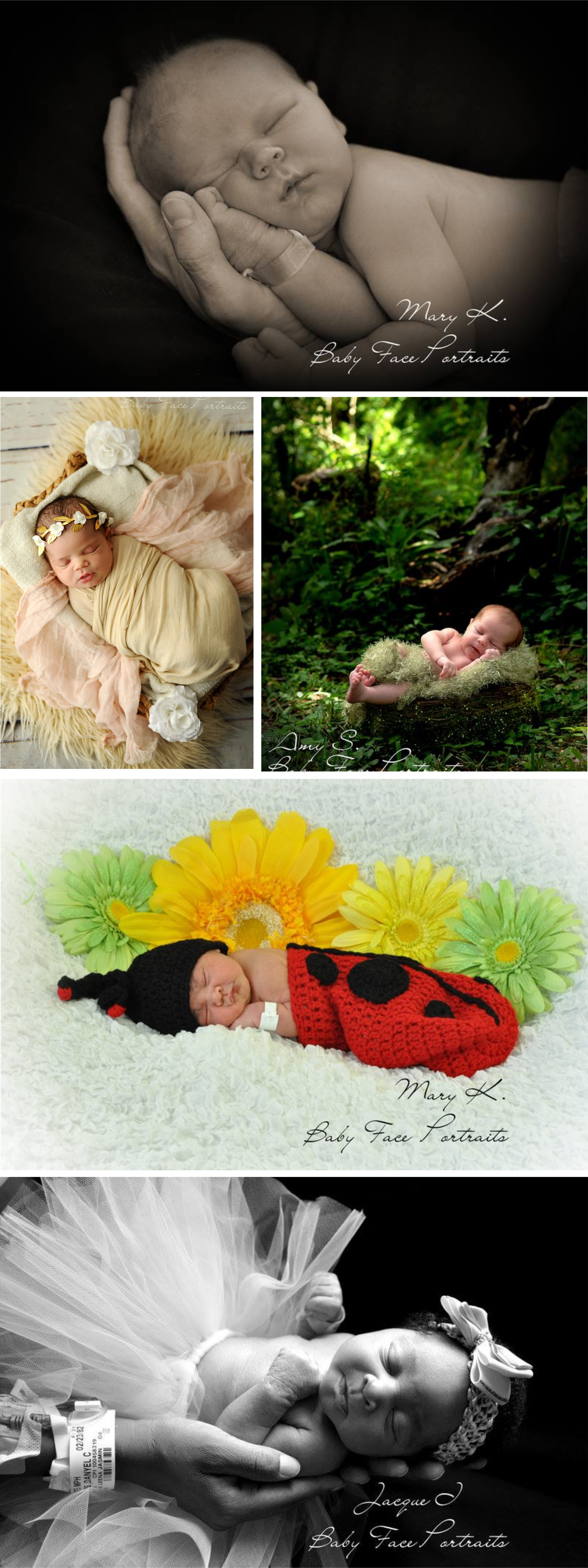 newborn portrait gallery